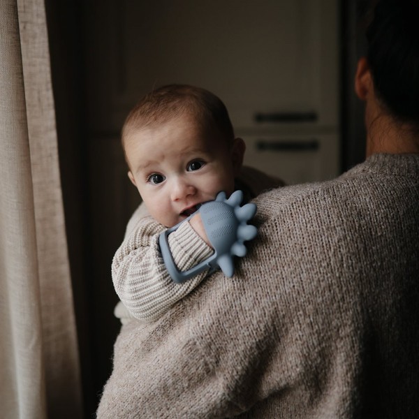 Μασητικό Σιλικόνης με Χερούλι Dino - Mushie | 66-101472