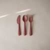 Σετ Κουτάλι Πηρούνι Μαχαίρι PP Dusty Rose Mushie | 66-102151
