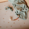 Κλιπ για Πιπίλες Eva Clementine - Mushie | 66-2090042 Κλιπ για Πιπίλες Eva Clementine - Mushie | 66-2090042