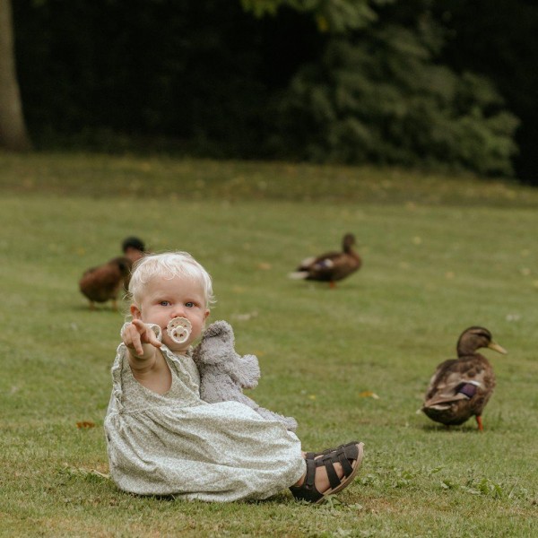 Σετ 6 Πιπίλες Latex FRIGG – Cinnamon Charm 0-6 Μηνών | 67-101865