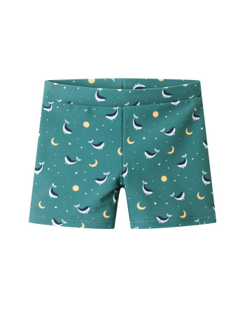 Kids Swimwear Swim Shorts Teal Whale