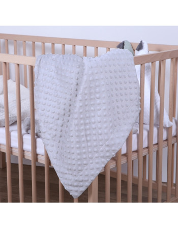 Κουβέρτα Minky Microfiber Γκρι 80x110εκ. | Gamberritos