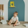 Treasure Shelf Magnetic Accessory
