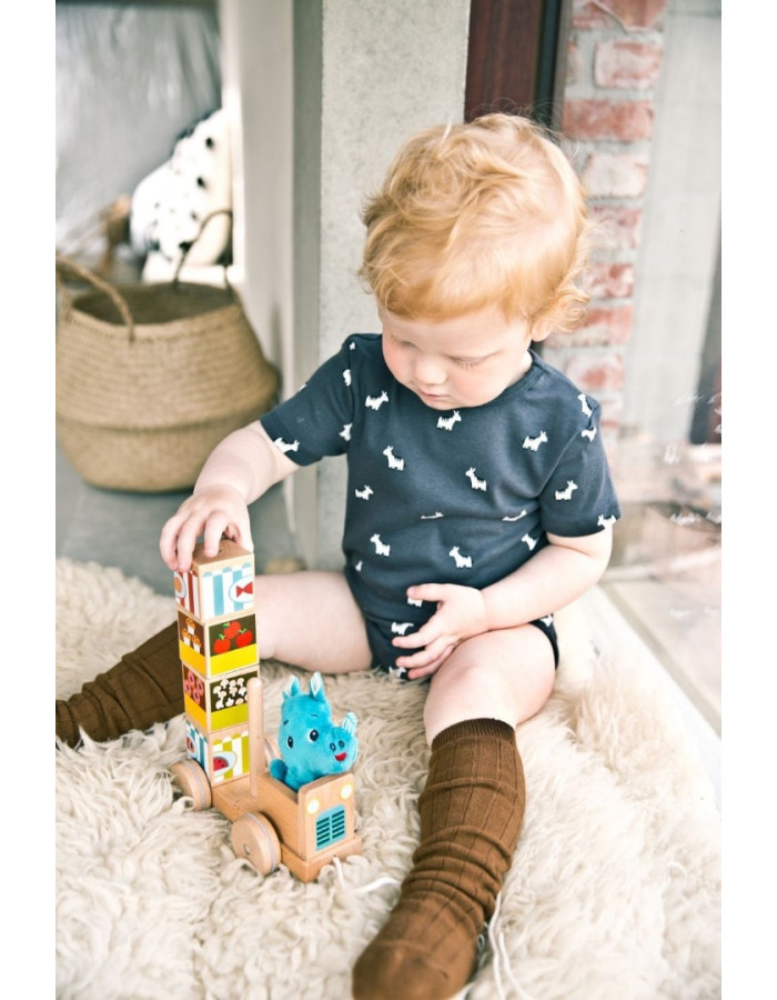 Wooden Vehicle - Puzzle The Canteen of Marius Wooden Vehicle - Puzzle The Canteen of Marius