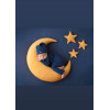 Velvet yellow Moon
