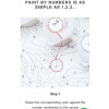 PAINT BY NUMBERS
