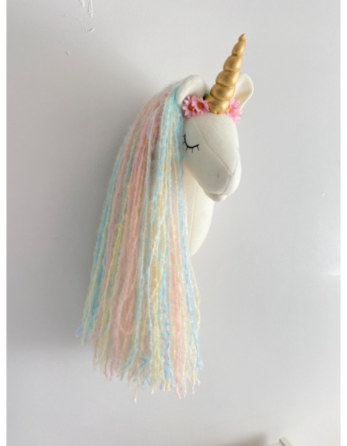 Unicorn Rainbow