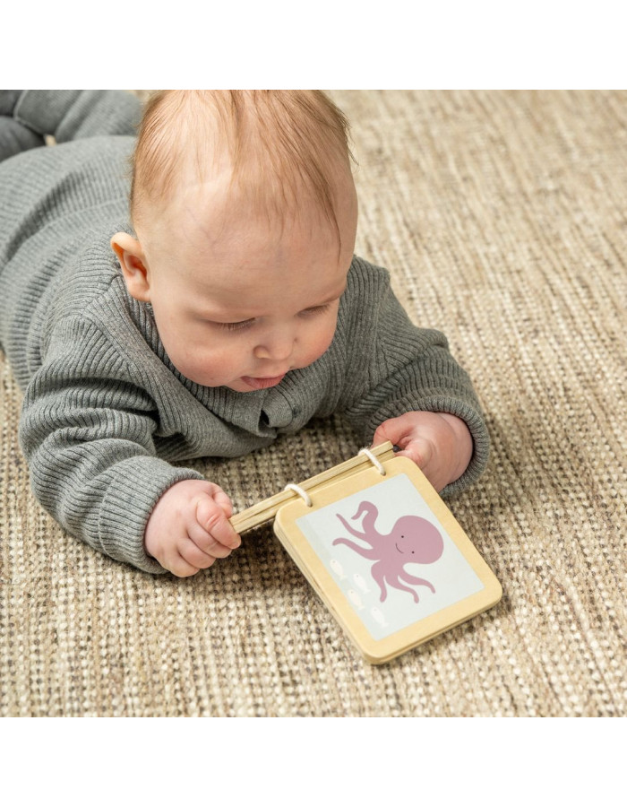 Jabadabado: box Play and Learn  6-12 months