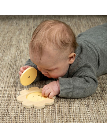 Jabadabado: box Play and Learn  6-12 months