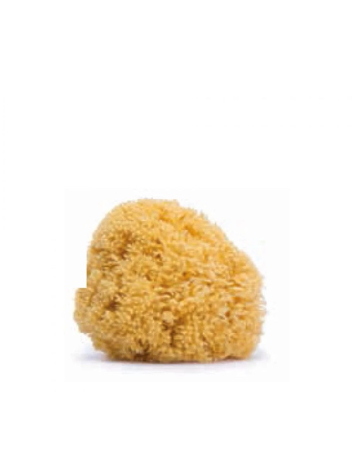 Baby Bath Sponge Natural LRG +0m Suavinex