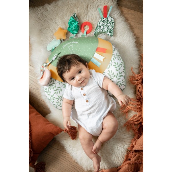 Σόφι καμηλοπάρδαλη: Μαξιλάρι δραστηριοτήτων ή ανάπαυσης 2 όψεων