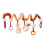 Sophie La Girafe Spiral Toy for Crib and Stroller Sophie The Giraffe for 0++ Months